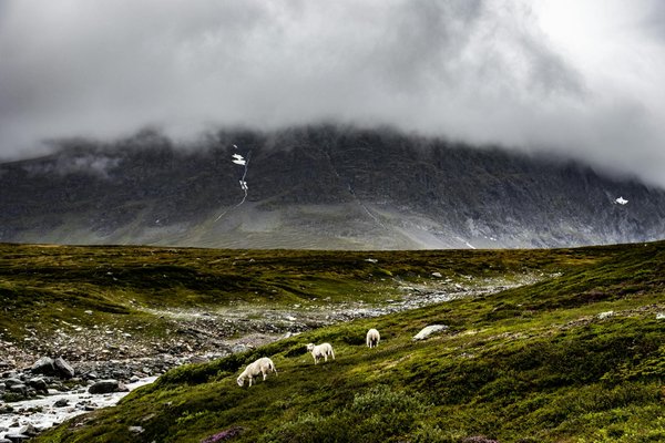 Discover Hidden Gems: The Ultimate Insider's Guide to Artisan Crafts in the Lake District